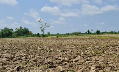 Own or Lease Green Land – Build a Sustainable Future Today!