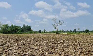 Own or Lease Green Land – Build a Sustainable Future Today!