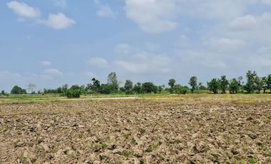 Own or Lease Green Land – Build a Sustainable Future Today!