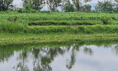 Own or Lease Green Land – Build a Sustainable Future Today!