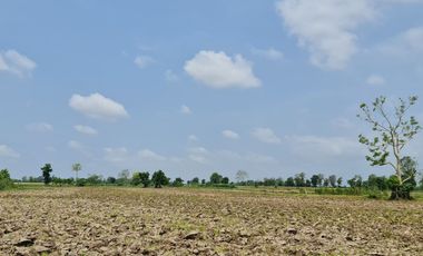 Own or Lease Green Land – Build a Sustainable Future Today!