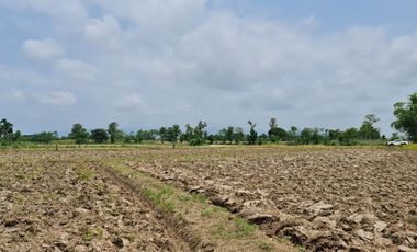 Own or Lease Green Land – Build a Sustainable Future Today!