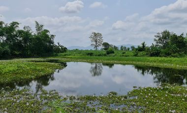 Own or Lease Green Land – Build a Sustainable Future Today!