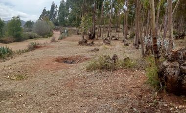 ¡Oportunidad única de inversión en Maras, Urubamba!  Terreno en venta: 3000 m²