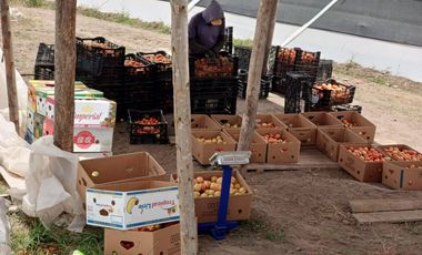 Finca en venta, Urcuqui - Tumbabiro