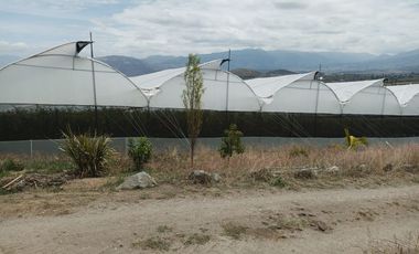 Finca en venta, Urcuqui - Tumbabiro