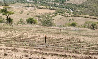 Finca en venta, Urcuqui - Tumbabiro