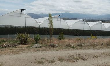 Finca en venta, Urcuqui - Tumbabiro