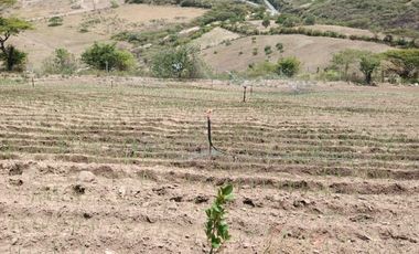 Finca en venta, Urcuqui - Tumbabiro
