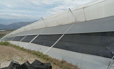 Finca en venta, Urcuqui - Tumbabiro