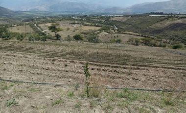 Finca en venta, Urcuqui - Tumbabiro