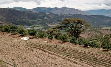 Finca en venta, Urcuqui - Tumbabiro