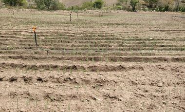 Finca en venta, Urcuqui - Tumbabiro