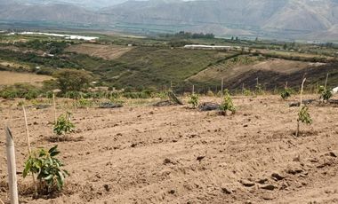 Finca en venta, Urcuqui - Tumbabiro