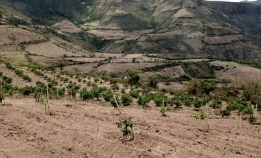 Finca en venta, Urcuqui - Tumbabiro
