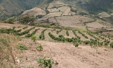 Finca en venta, Urcuqui - Tumbabiro