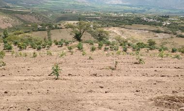 Finca en venta, Urcuqui - Tumbabiro