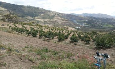 Finca en venta, Urcuqui - Tumbabiro