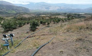 Finca en venta, Urcuqui - Tumbabiro