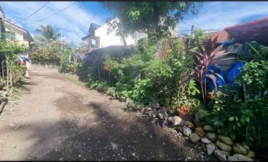 Lot for Sale in Flores, Poblacion, Catmon Cebu