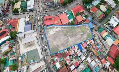 For Sale: High Potential Commercial Lot in Don Bosco, Parañaque City, Metro Manila