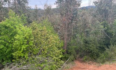 Casa en parcela de 5000 m2, Sector San Nicolás, Florida, Región del Bio Bio