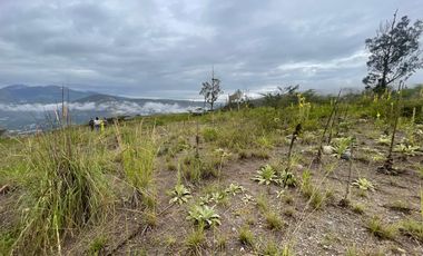 Terreno de venta  en la mitad del mundo , sector Rumicucho, Quito . Ecuador.