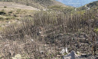 Terreno de venta  en la mitad del mundo , sector Rumicucho, Quito . Ecuador.