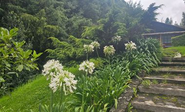 VENTA DE CABAÑA CON HERMOSOS JARDINES MINERAL DEL CHICO, CARBONERAS