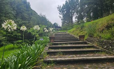 VENTA DE CABAÑA CON HERMOSOS JARDINES MINERAL DEL CHICO, CARBONERAS
