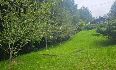 VENTA DE CABAÑA CON HERMOSOS JARDINES MINERAL DEL CHICO, CARBONERAS