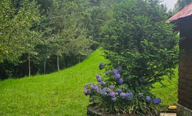 VENTA DE CABAÑA CON HERMOSOS JARDINES MINERAL DEL CHICO, CARBONERAS