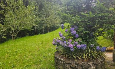 VENTA DE CABAÑA CON HERMOSOS JARDINES MINERAL DEL CHICO, CARBONERAS