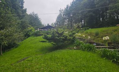 VENTA DE CABAÑA CON HERMOSOS JARDINES MINERAL DEL CHICO, CARBONERAS