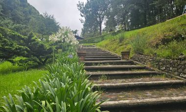 VENTA DE CABAÑA CON HERMOSOS JARDINES MINERAL DEL CHICO, CARBONERAS