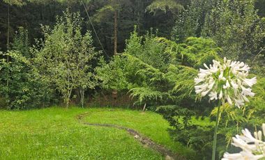 VENTA DE CABAÑA CON HERMOSOS JARDINES MINERAL DEL CHICO, CARBONERAS