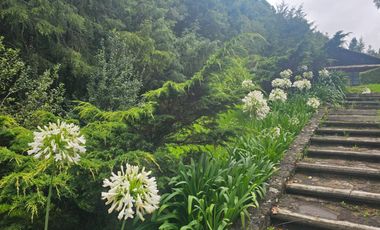 VENTA DE CABAÑA CON HERMOSOS JARDINES MINERAL DEL CHICO, CARBONERAS