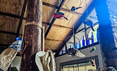 VENTA DE CABAÑA CON HERMOSOS JARDINES MINERAL DEL CHICO, CARBONERAS