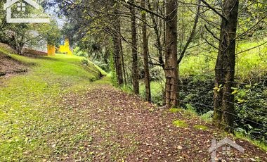 VENTA DE CABAÑA CON HERMOSOS JARDINES MINERAL DEL CHICO, CARBONERAS