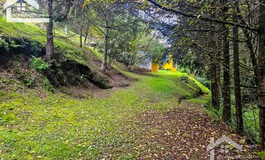 VENTA DE CABAÑA CON HERMOSOS JARDINES MINERAL DEL CHICO, CARBONERAS