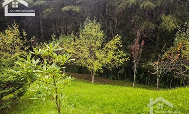 VENTA DE CABAÑA CON HERMOSOS JARDINES MINERAL DEL CHICO, CARBONERAS