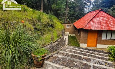 VENTA DE CABAÑA CON HERMOSOS JARDINES MINERAL DEL CHICO, CARBONERAS