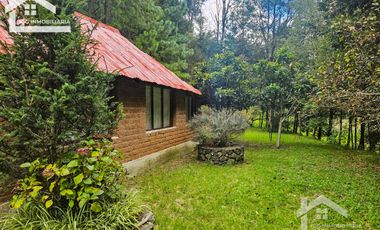 VENTA DE CABAÑA CON HERMOSOS JARDINES MINERAL DEL CHICO, CARBONERAS