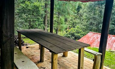 VENTA DE CABAÑA CON HERMOSOS JARDINES MINERAL DEL CHICO, CARBONERAS