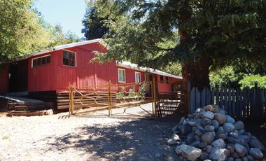 Venta Hermoso campo de 60 Hectáreas junto a la Reserva Nacional Malleco, Chile