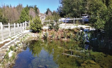Venta Hermoso campo de 60 Hectáreas junto a la Reserva Nacional Malleco, Chile