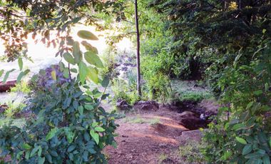 Venta Hermoso campo de 60 Hectáreas junto a la Reserva Nacional Malleco, Chile