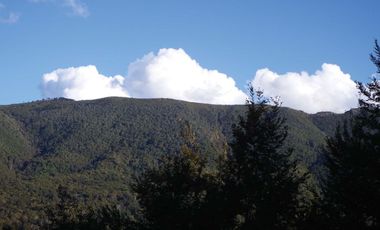 Venta Hermoso campo de 60 Hectáreas junto a la Reserva Nacional Malleco, Chile