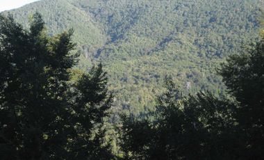 Venta Hermoso campo de 60 Hectáreas junto a la Reserva Nacional Malleco, Chile