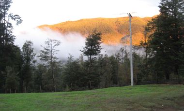 Venta Hermoso campo de 60 Hectáreas junto a la Reserva Nacional Malleco, Chile